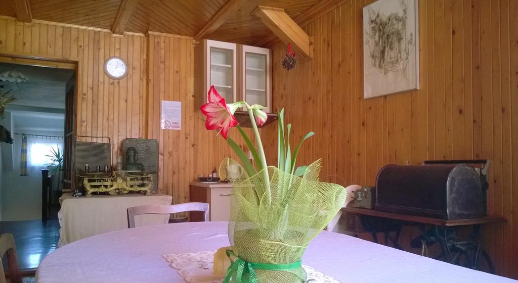 Pokoje Goscinne Arnika Gorska Schreiberhau Exterior foto