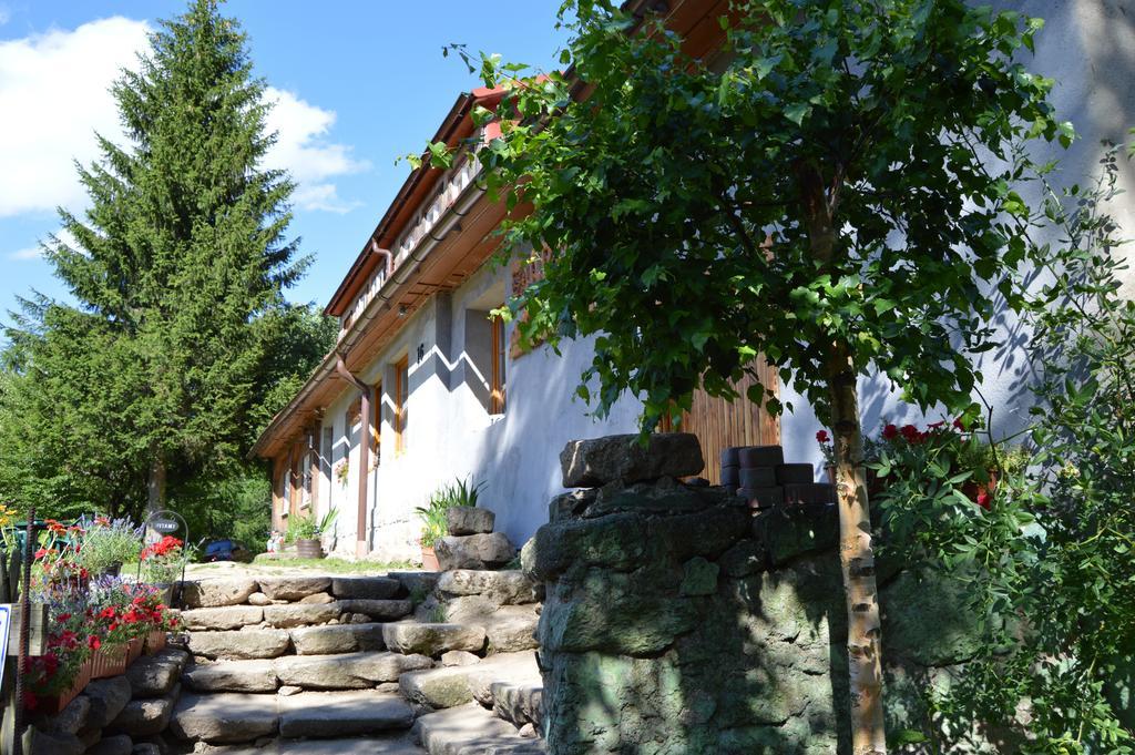 Pokoje Goscinne Arnika Gorska Schreiberhau Exterior foto