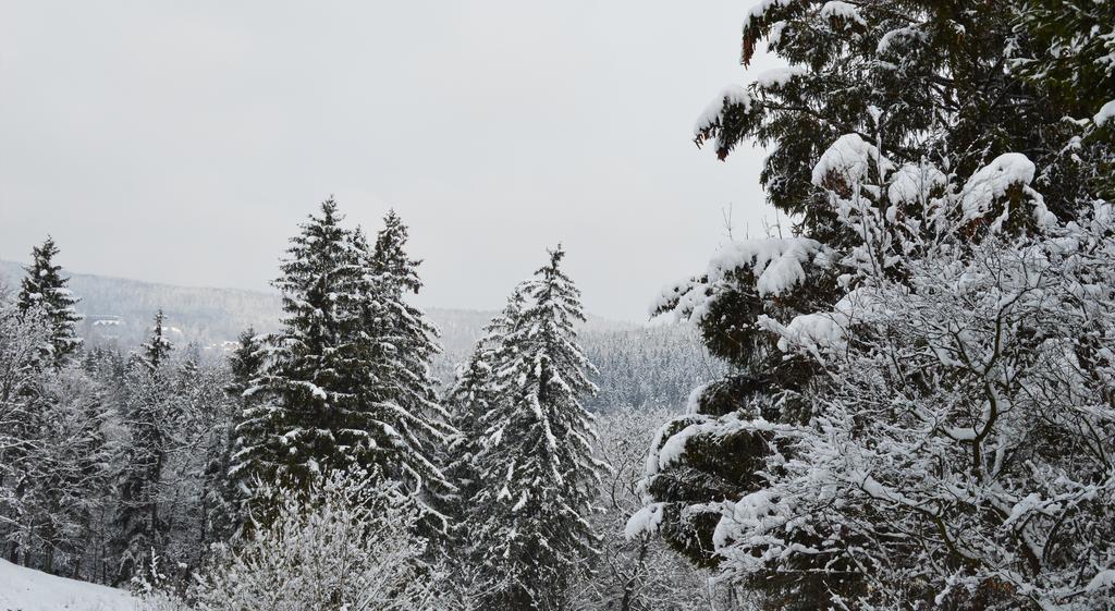 Pokoje Goscinne Arnika Gorska Schreiberhau Exterior foto